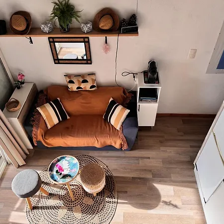 Corse Vue - - Marine De Bravone Διαμέρισμα Linguizzetta