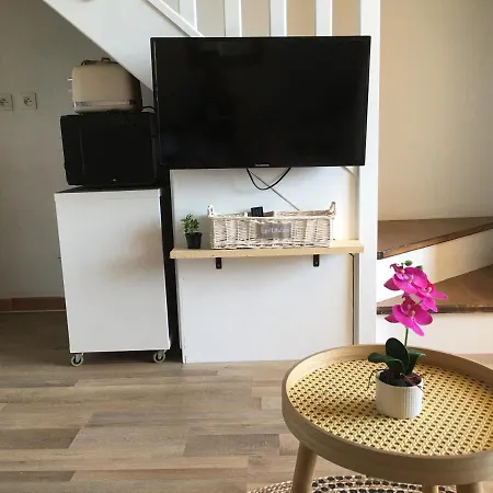 Corse Vue - - Marine De Bravone Apartment Linguizzetta