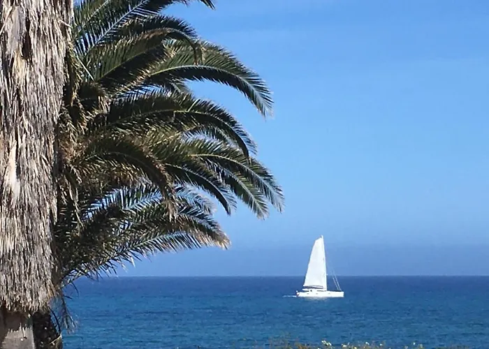 아파트 Corse Vue - - Marine De Bravone Linguizzetta