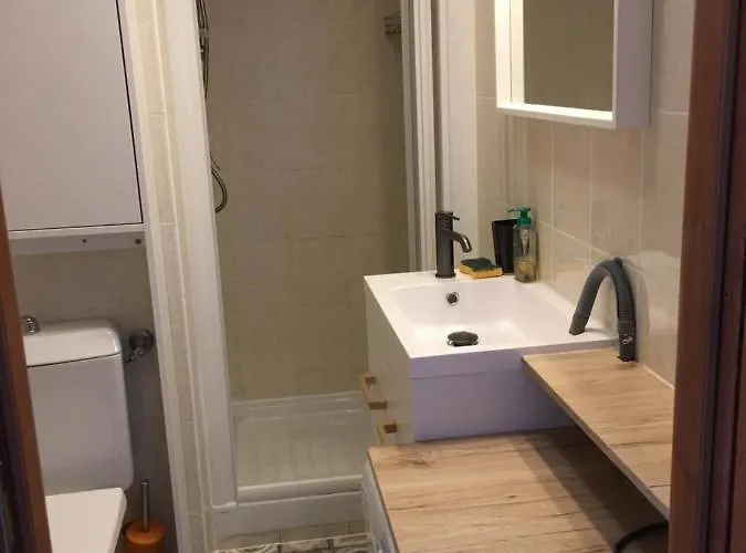 Apartman Corse Vue - - Marine De Bravone Linguizzetta